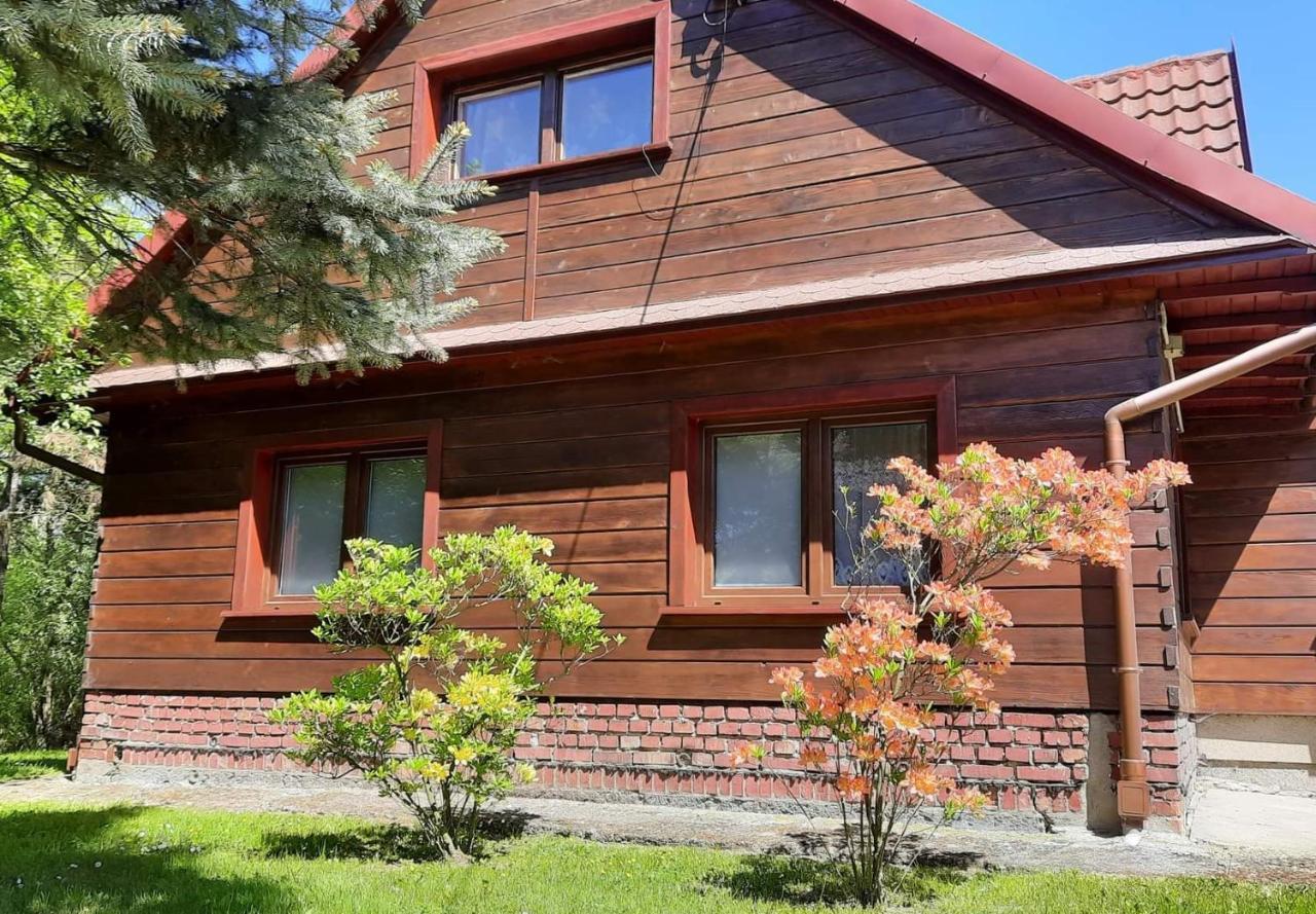 Domek Zacisze Laskowa (Oswiecim) Exterior foto